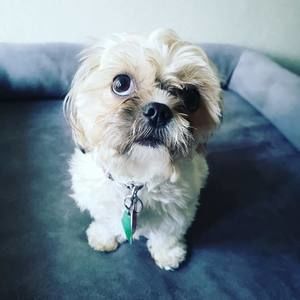 Meet your Posher, Lynette